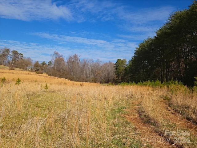 Listing photo 3 for 000 Herbert Page Rd, Tryon NC 28782