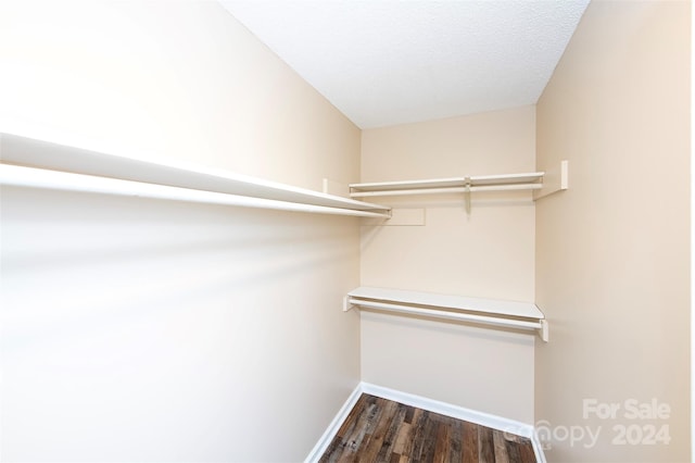 spacious closet with dark wood-type flooring