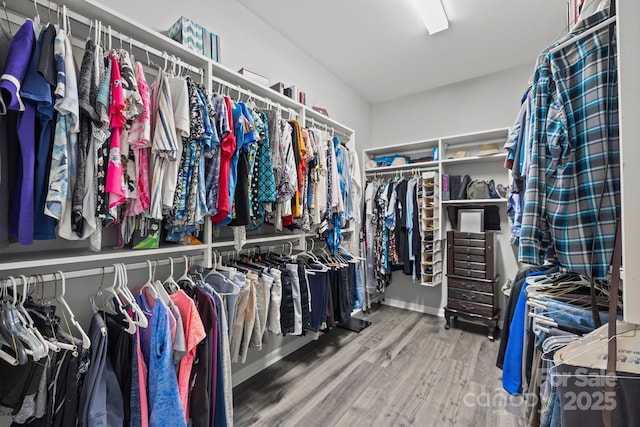 spacious closet with hardwood / wood-style floors