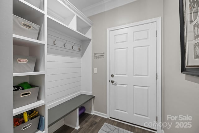 mudroom featuring ornamental molding and dark hardwood / wood-style floors