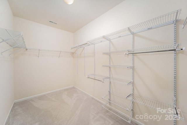 spacious closet with carpet floors