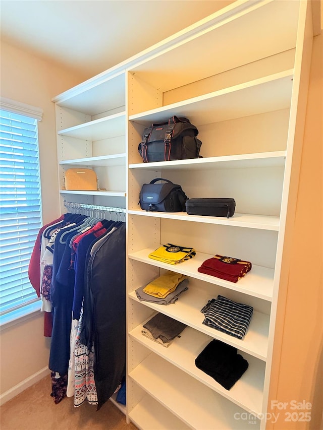 walk in closet featuring carpet