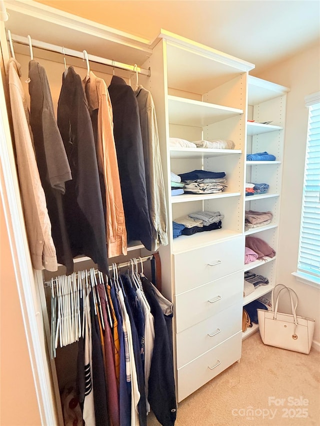 view of closet