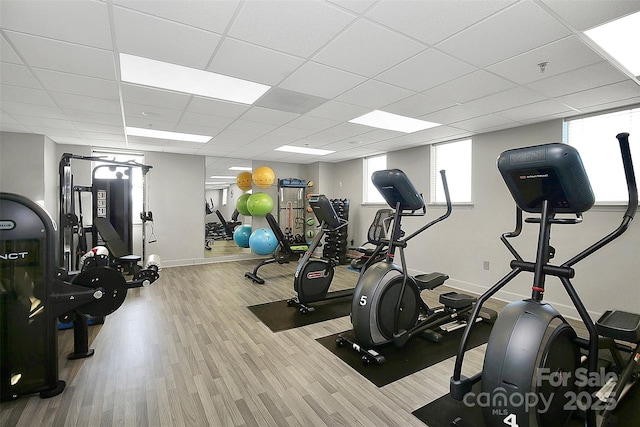 gym featuring hardwood / wood-style flooring and a drop ceiling