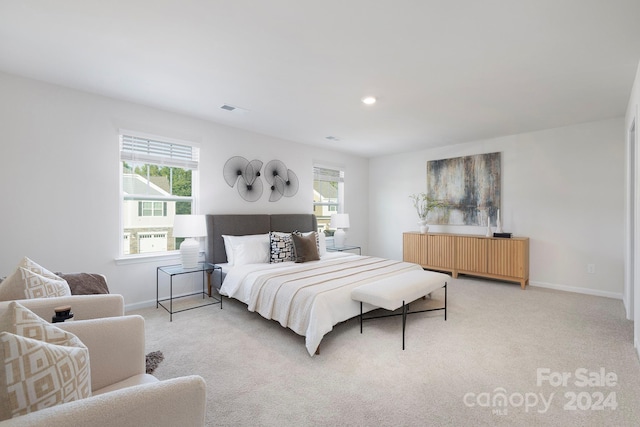 bedroom with carpet floors