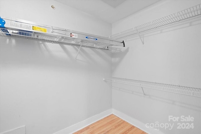 spacious closet featuring hardwood / wood-style floors