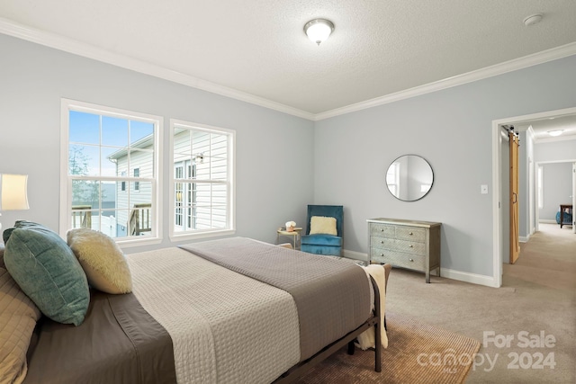 bedroom featuring multiple windows, light colored carpet, a textured ceiling, and ornamental molding