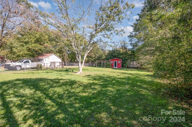 view of yard featuring a shed