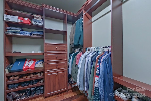 spacious closet with wood-type flooring