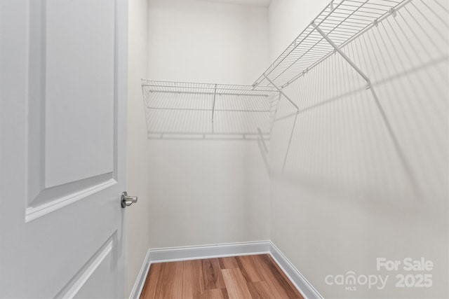 walk in closet featuring hardwood / wood-style flooring