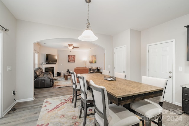 dining room with light wood-type flooring and ceiling fan