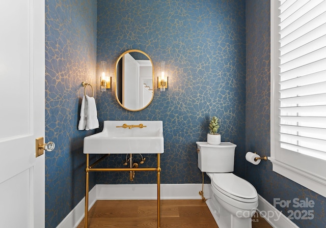 bathroom featuring sink, wood-type flooring, toilet, and plenty of natural light