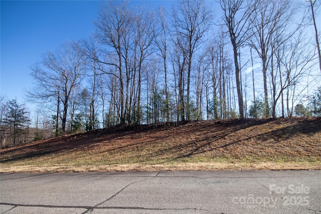 Listing photo 3 for 2201 Nighthawk Ridge Ct Unit 25, Lenoir NC 28645