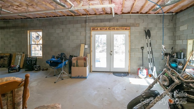 basement with french doors