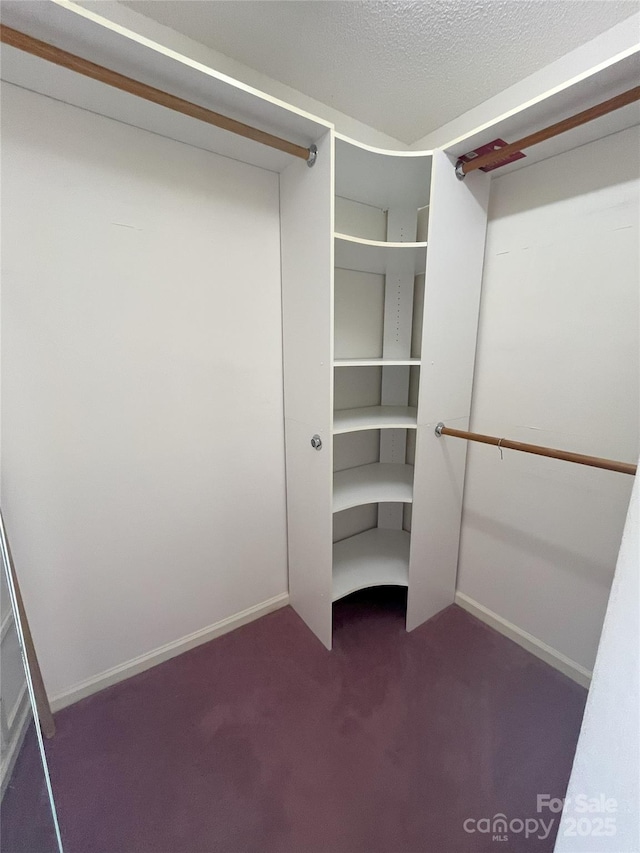 walk in closet with dark colored carpet