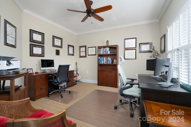 carpeted office featuring ceiling fan and crown molding