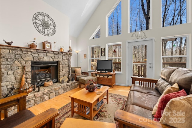 2959/2961 Bearwallow Mountain Rd, Hendersonville, NC 28792 - living room featuring a fireplace, wood-type flooring, and a towering ceiling