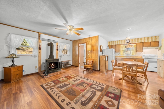 2959/2961 Bearwallow Mountain Rd, Hendersonville, NC 28792 - living room with a textured ceiling, ceiling fan, a wall mounted AC, sink, and a wood stove