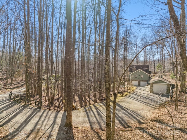 2959/2961 Bearwallow Mountain Rd, Hendersonville, NC 28792 - view of front of house featuring a garage