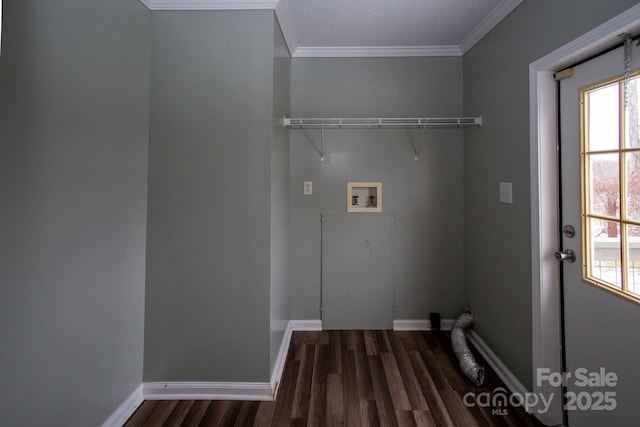 clothes washing area featuring crown molding, hookup for a washing machine, and dark wood-type flooring