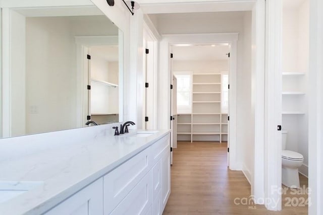 bathroom with vanity, hardwood / wood-style flooring, and toilet