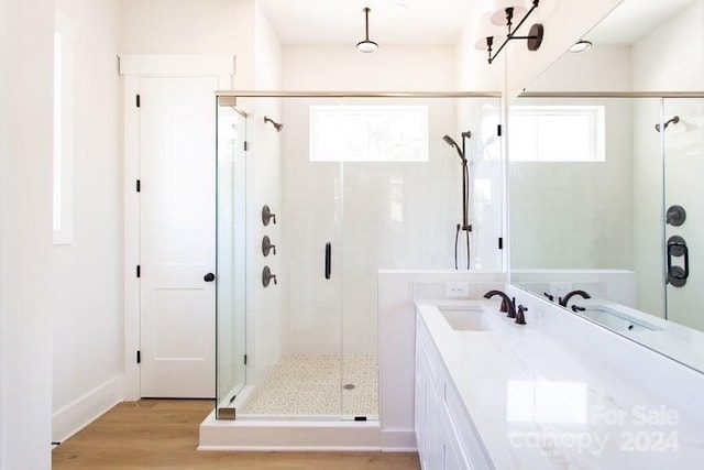 bathroom with hardwood / wood-style floors, vanity, and a shower with shower door