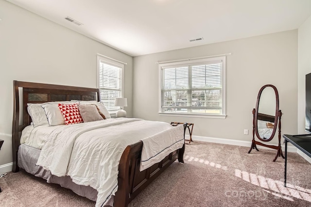 bedroom with multiple windows and carpet floors