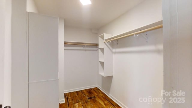 spacious closet featuring dark wood-type flooring