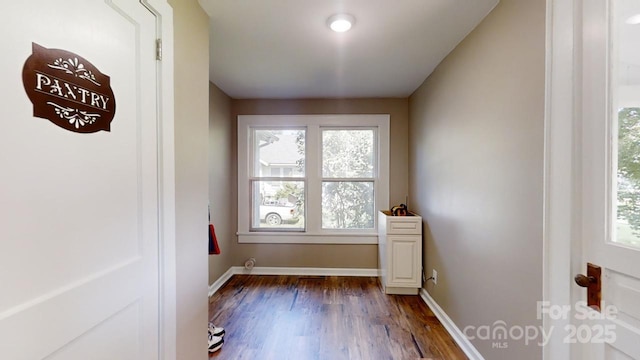 empty room featuring dark hardwood / wood-style flooring