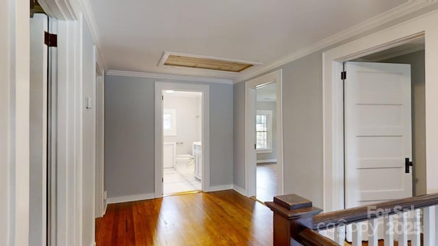 hall featuring crown molding and hardwood / wood-style flooring