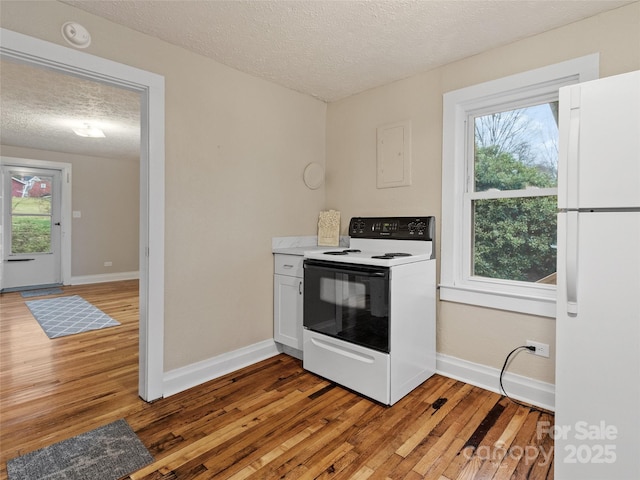 kitchen featuring hardwood / wood-style flooring, plenty of natural light, range with electric cooktop, and white refrigerator