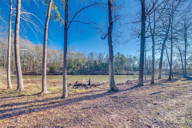 view of yard featuring a water view