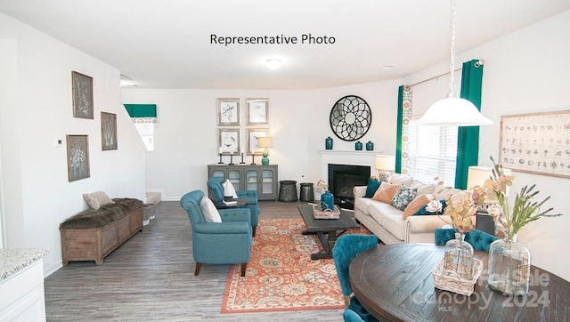 living room with hardwood / wood-style flooring