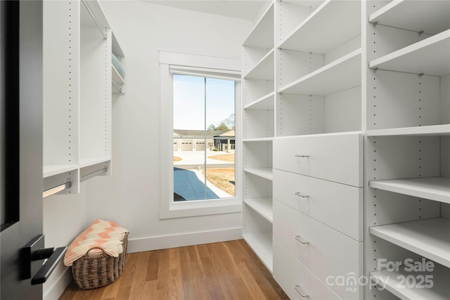 spacious closet with light wood-type flooring