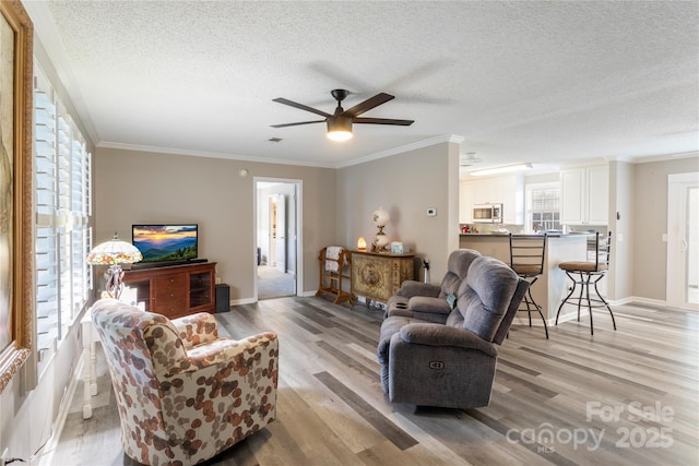 living room with a textured ceiling, light hardwood / wood-style flooring, ceiling fan, and crown molding