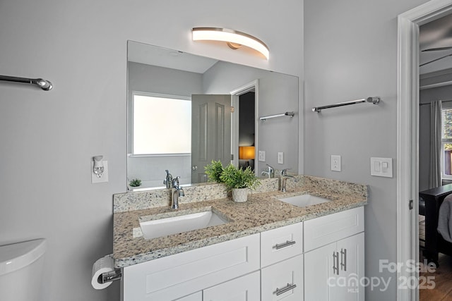 bathroom with toilet and vanity