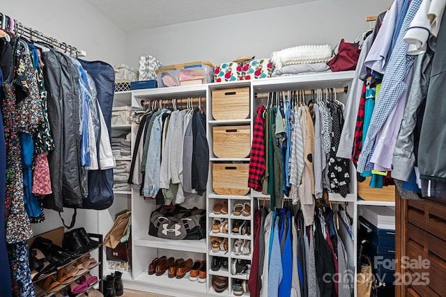 view of walk in closet