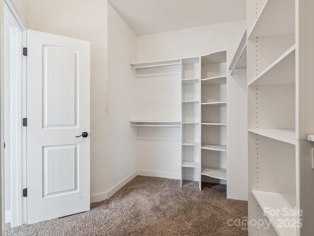 walk in closet with dark colored carpet