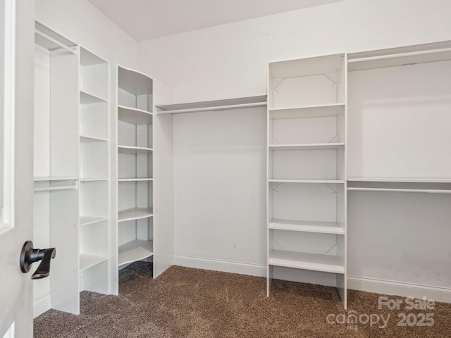 spacious closet featuring dark colored carpet