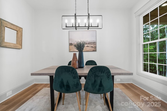 dining room with plenty of natural light, a chandelier, and hardwood / wood-style flooring