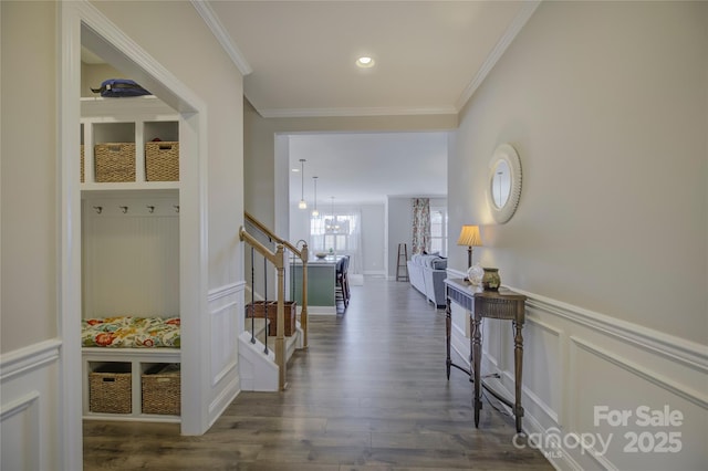 mudroom with crown molding, dark hardwood / wood-style floors, and a notable chandelier