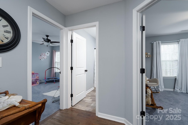 hall featuring dark hardwood / wood-style flooring