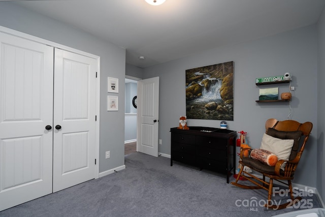 living area featuring carpet floors