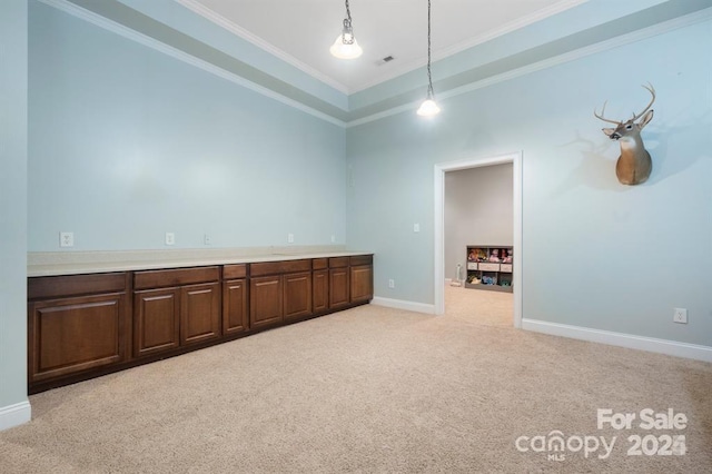 empty room with a raised ceiling, light colored carpet, and crown molding