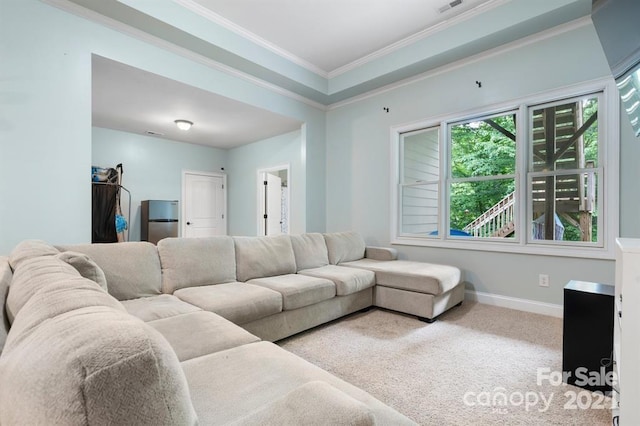 living room featuring carpet floors and crown molding