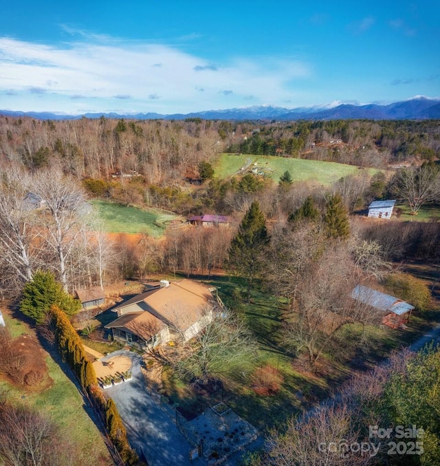 birds eye view of property with a mountain view and a view of trees