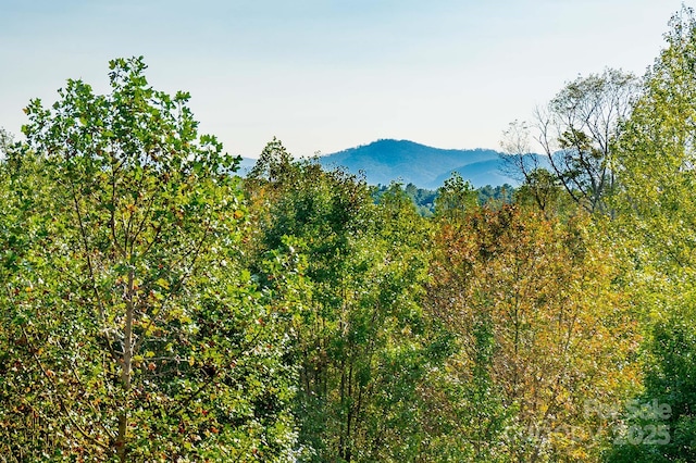 property view of mountains