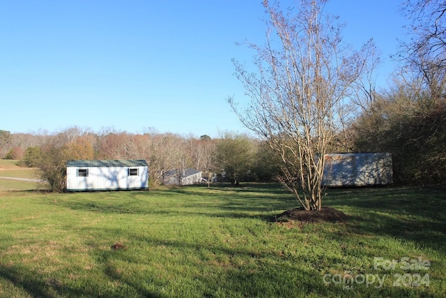 view of yard featuring a shed