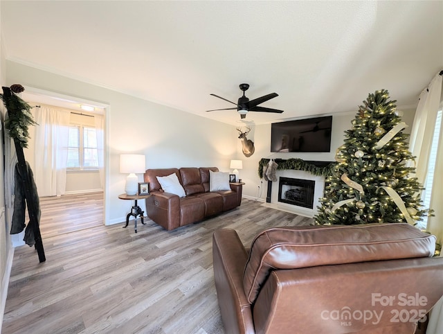 living room with ceiling fan, light hardwood / wood-style floors, and ornamental molding