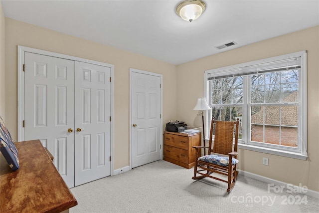 sitting room featuring light colored carpet and a wealth of natural light